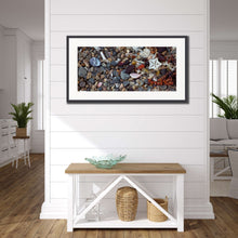 Load image into Gallery viewer, Sea Shells On The Shore Acrylic Wall Print and Photographic
