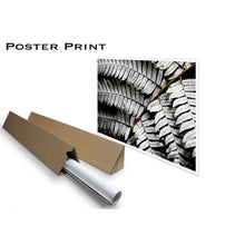 Load image into Gallery viewer, Silver Fern Photographic Print
