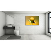Load image into Gallery viewer, Ladybird Photography Fine Art Print / Acrylic Wall hanging /
