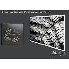 Load image into Gallery viewer, Silver Fern Photographic Print
