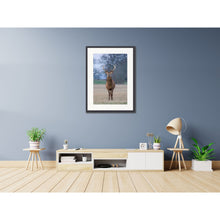 Load image into Gallery viewer, ‘The Windsor Stag’ photographic acrylic wall art or print.
