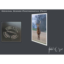 Load image into Gallery viewer, ‘The Windsor Stag’ photographic acrylic wall art or print.
